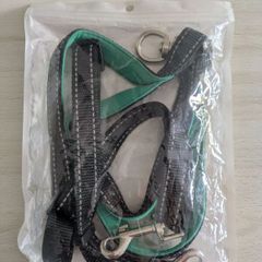 Double Dog Lead