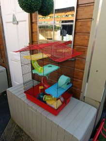 Hamster cage