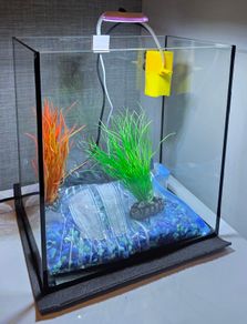 17l fish tank