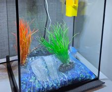 17l fish tank