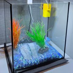 17l fish tank