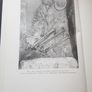 The Bronze Age burials of Ireland Hardcover, Anthropology, John Waddell Image 4