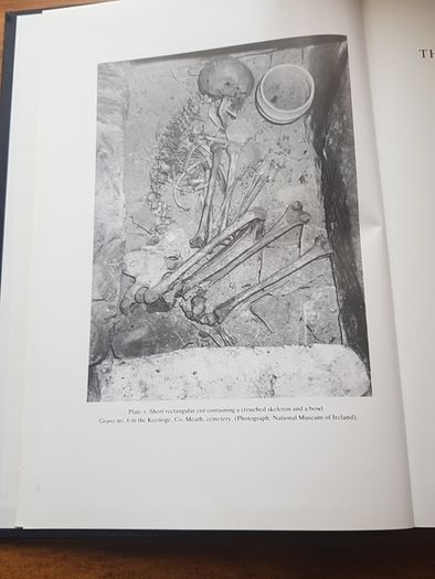 The Bronze Age burials of Ireland Hardcover, Anthropology, John Waddell