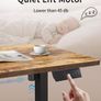 Electric Standing Desk Height Adjustable For Gaming and Computer, 120 x 60cm Sit Stand Image 8
