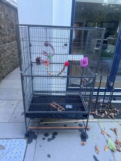 Bird Cage