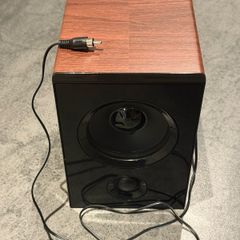 One Speaker for Turntable