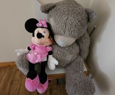 Soft toy