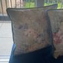 2 Velvet Cushions Image 3