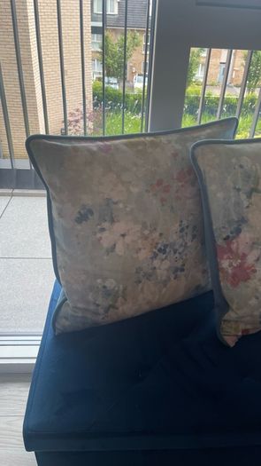 2 Velvet Cushions