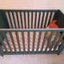 Mamas & Papas Cot Image 4