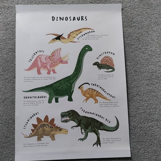 Dinosaur Kids Room Decor