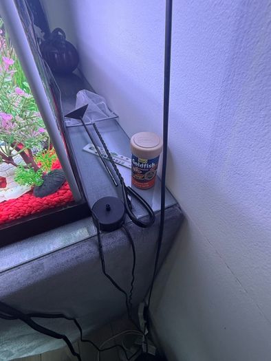fish tank