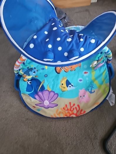 Finding Nemo activity gym