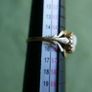 Vintage 9ct  Yellow Gold 375 Gold Oval Shell Cameo Ring 1,4g size O Image 9