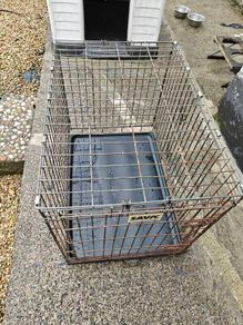 dog crate