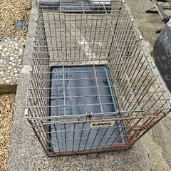 dog crate