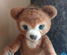 toy