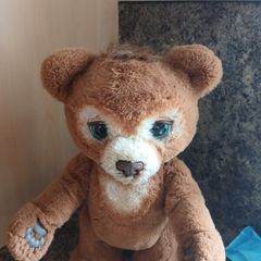toy