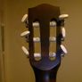 Encore Guitar Image 5