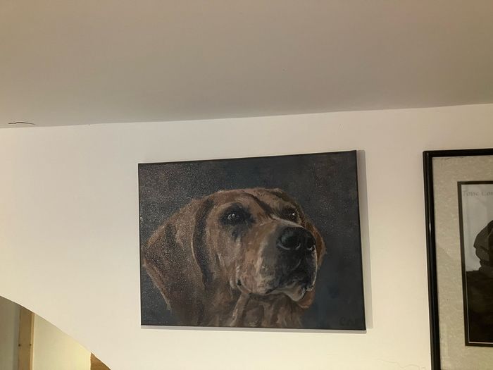 Fine Art Painting - Fox Hound - dog