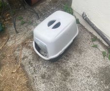litter tray