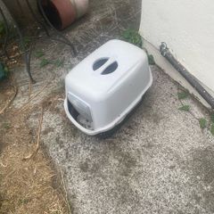 litter tray