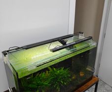 aquasky 3.0 16w  aquarium light
