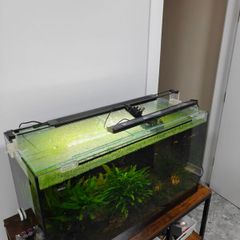 aquasky 3.0 16w  aquarium light