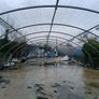 Mushroom sheds Image 4