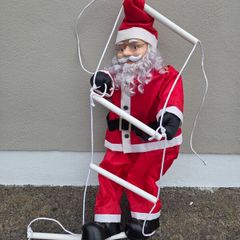 Santa on a ladder