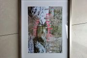 Paul Weafer Framed Photograph