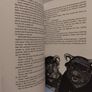Rumo and His Miraculous Adventures by Walter Moers Image 7