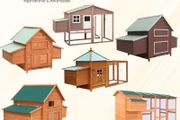 Chicken Coops