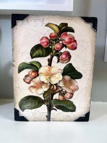 Sid Dickens memory block T-462 Apple Blossom