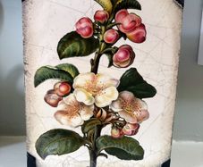 Sid Dickens memory block T-462 Apple Blossom