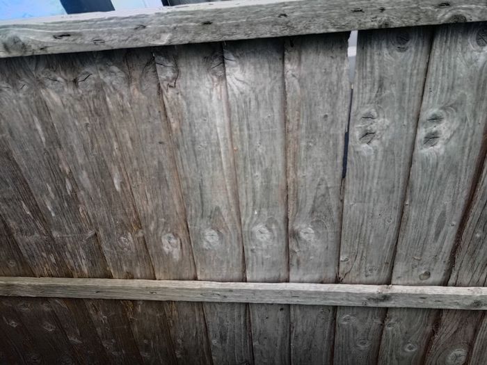 Planks of wood