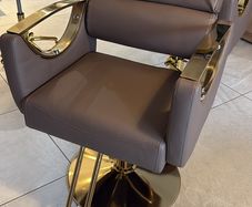 Salon Chair