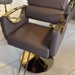 Salon Chair