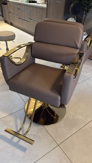 Salon Chair