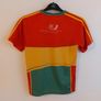 carlow gaa jersey signed Image 5