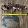 Reptile tank vivarium decoration Accessories 3 pieces Image 3