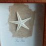 'Sea Star' Image 3