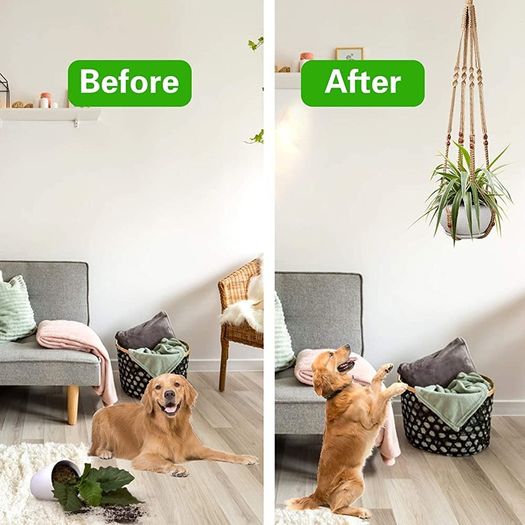 2 Pcs Plant Hangers Hanging Plant Holder for Indoor Outdoor Decor Macrame Hanging Planter Basket with 4 Hooks(35 Inch)
