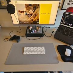 Standing Desk