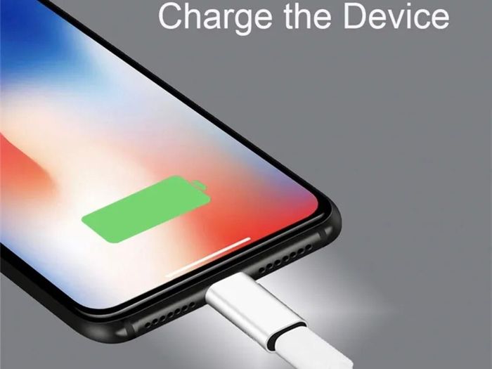 USB-C Type C Female to iPhone Male Charger Adapter for iPhone X XR 7 6 5S XS
