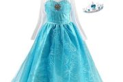 New Frozen Princess Elsa Fancy Costume With Accessories 3-4 Yrs