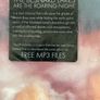 The Besnard Lakes - The Besnard Lakes Are The Roaring Night Image 2