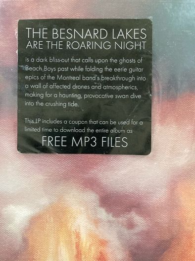 The Besnard Lakes - The Besnard Lakes Are The Roaring Night