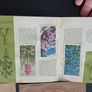 wild flowers cigarette cards Image 8