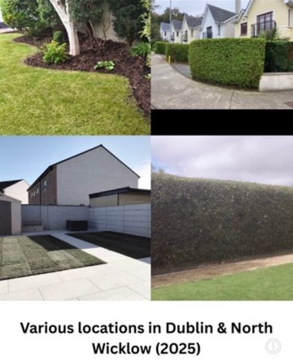 Professional Garden Maintenance - Dublin & North Wicklow